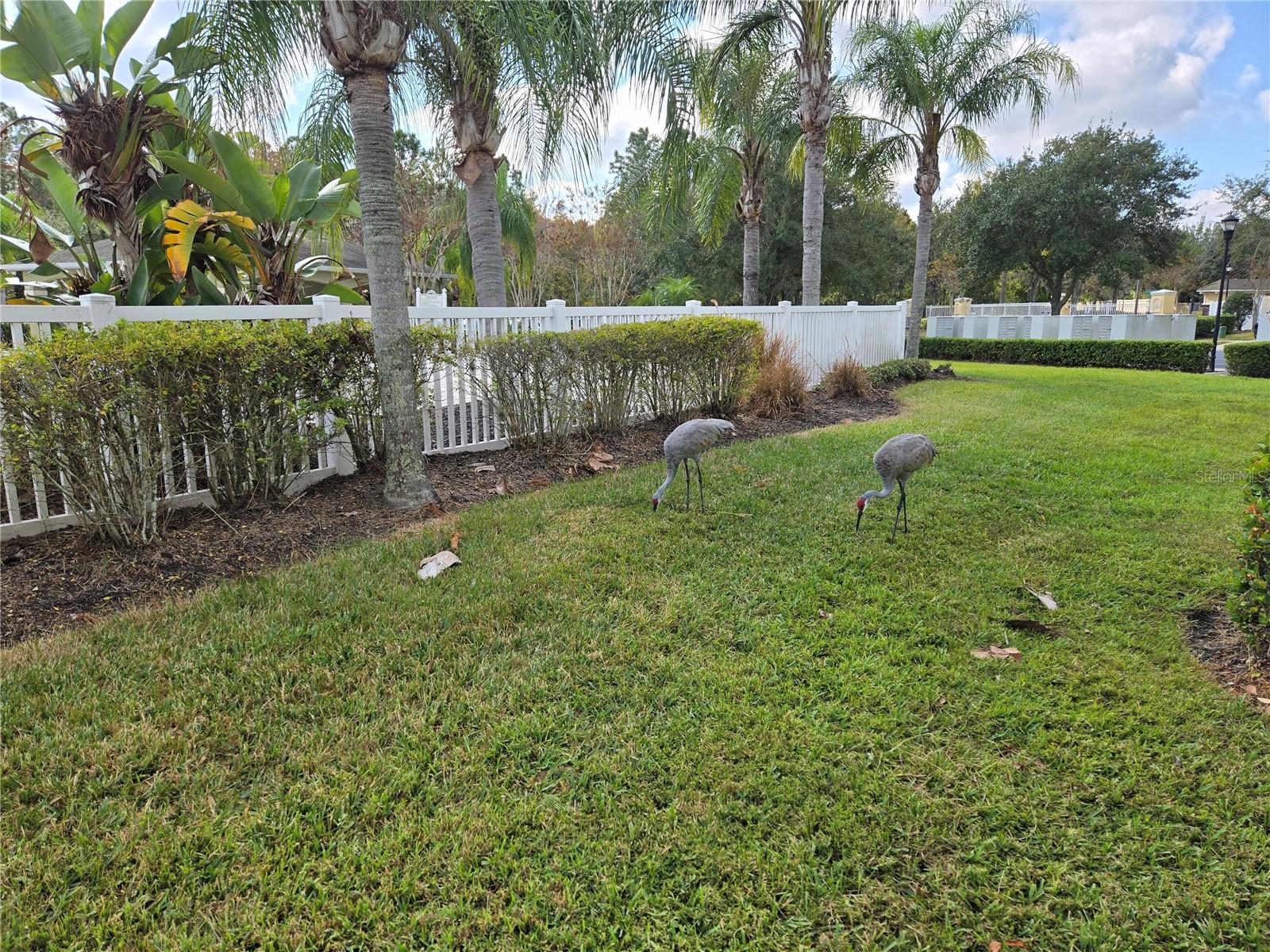 Image 63 of 72 For 20407 Berrywood Lane