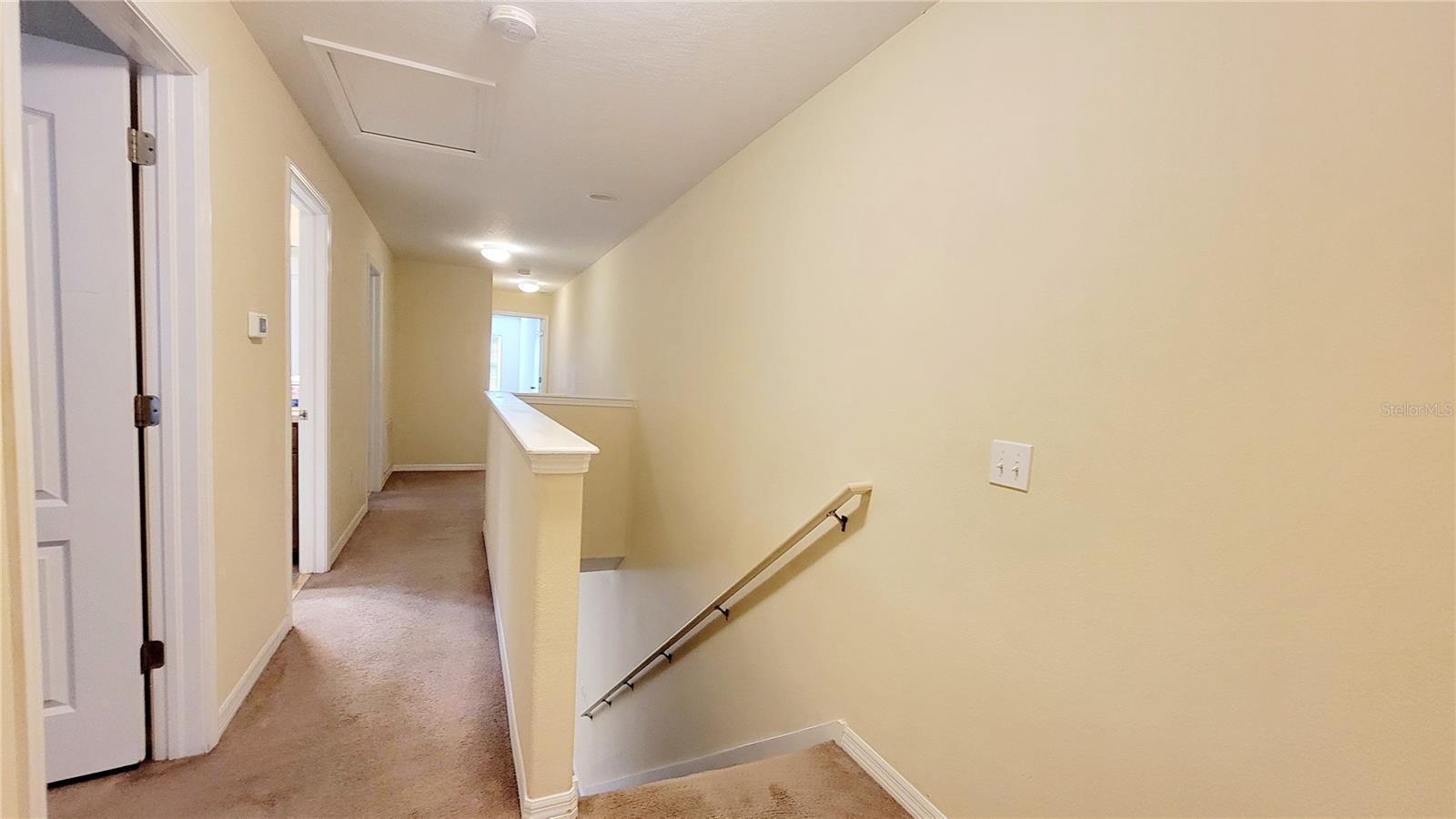 Image 32 of 48 For 9540 Trumpet Vine Loop