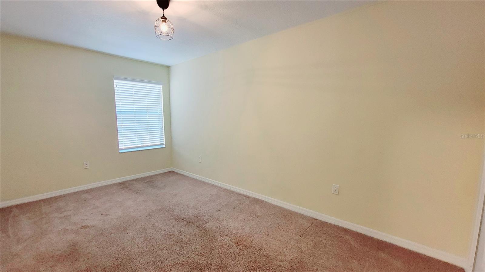 Image 36 of 48 For 9540 Trumpet Vine Loop