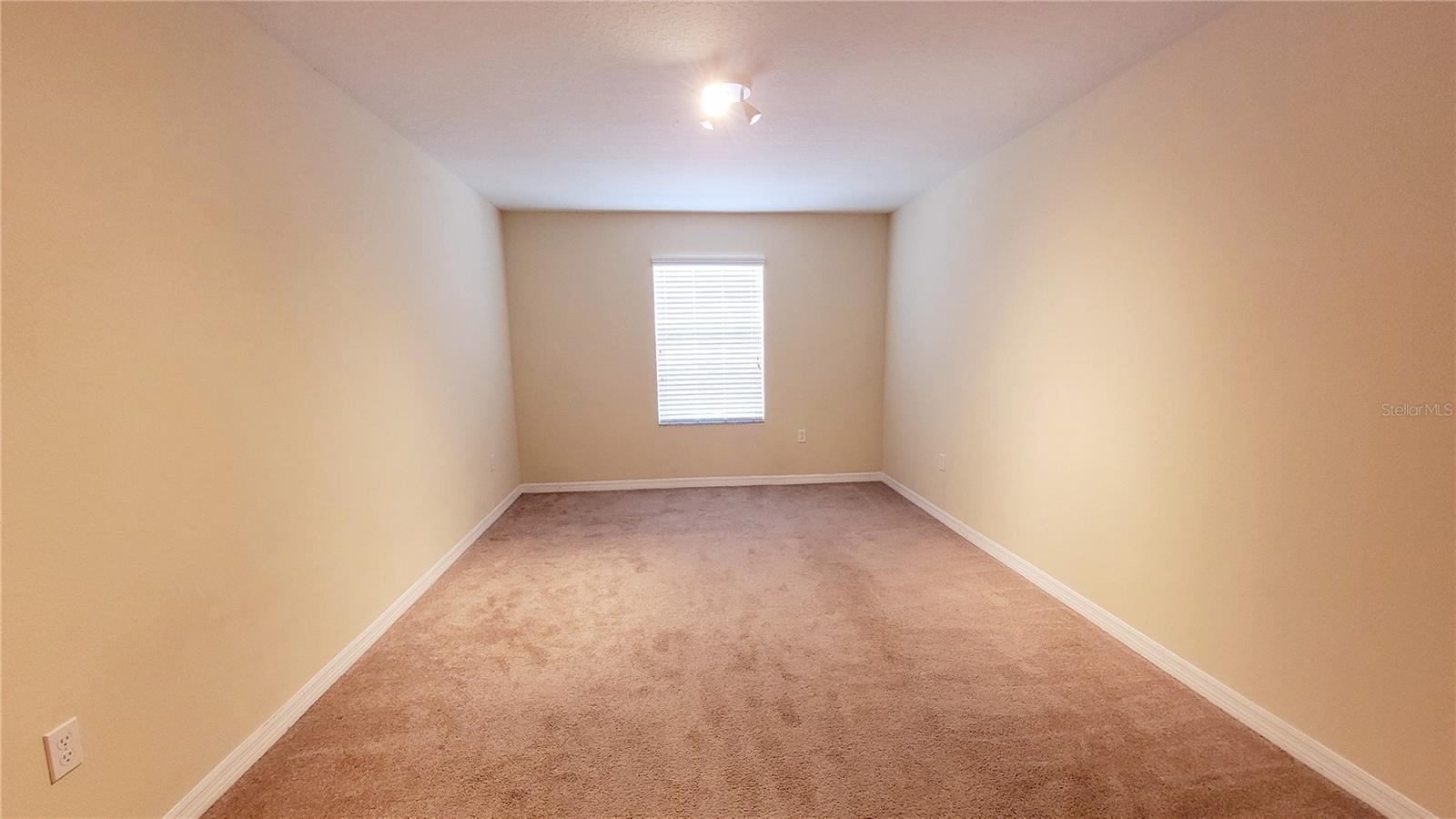 Image 40 of 48 For 9540 Trumpet Vine Loop