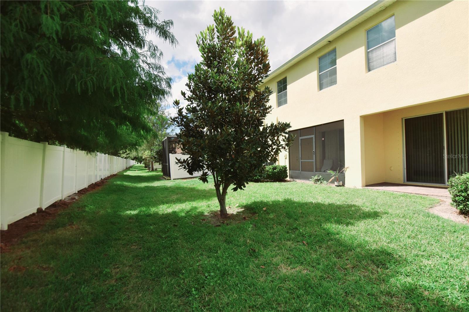 Image 48 of 48 For 9540 Trumpet Vine Loop