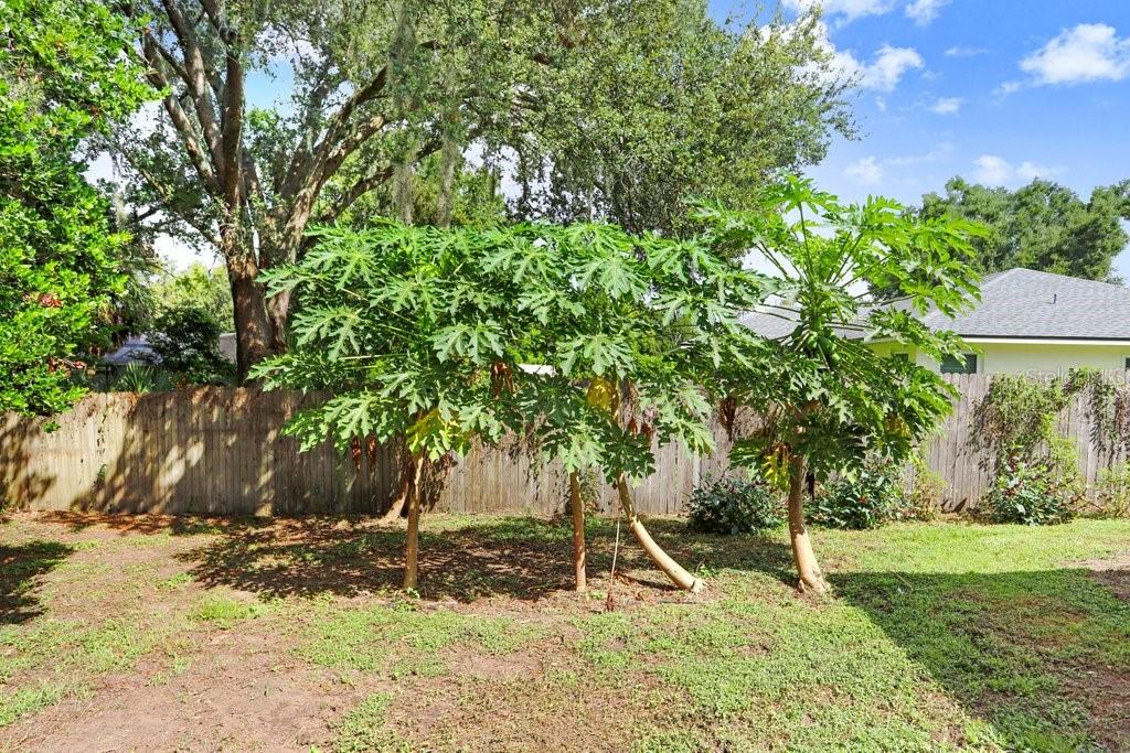 Image 33 of 40 For 8012 Holly Ridge Drive