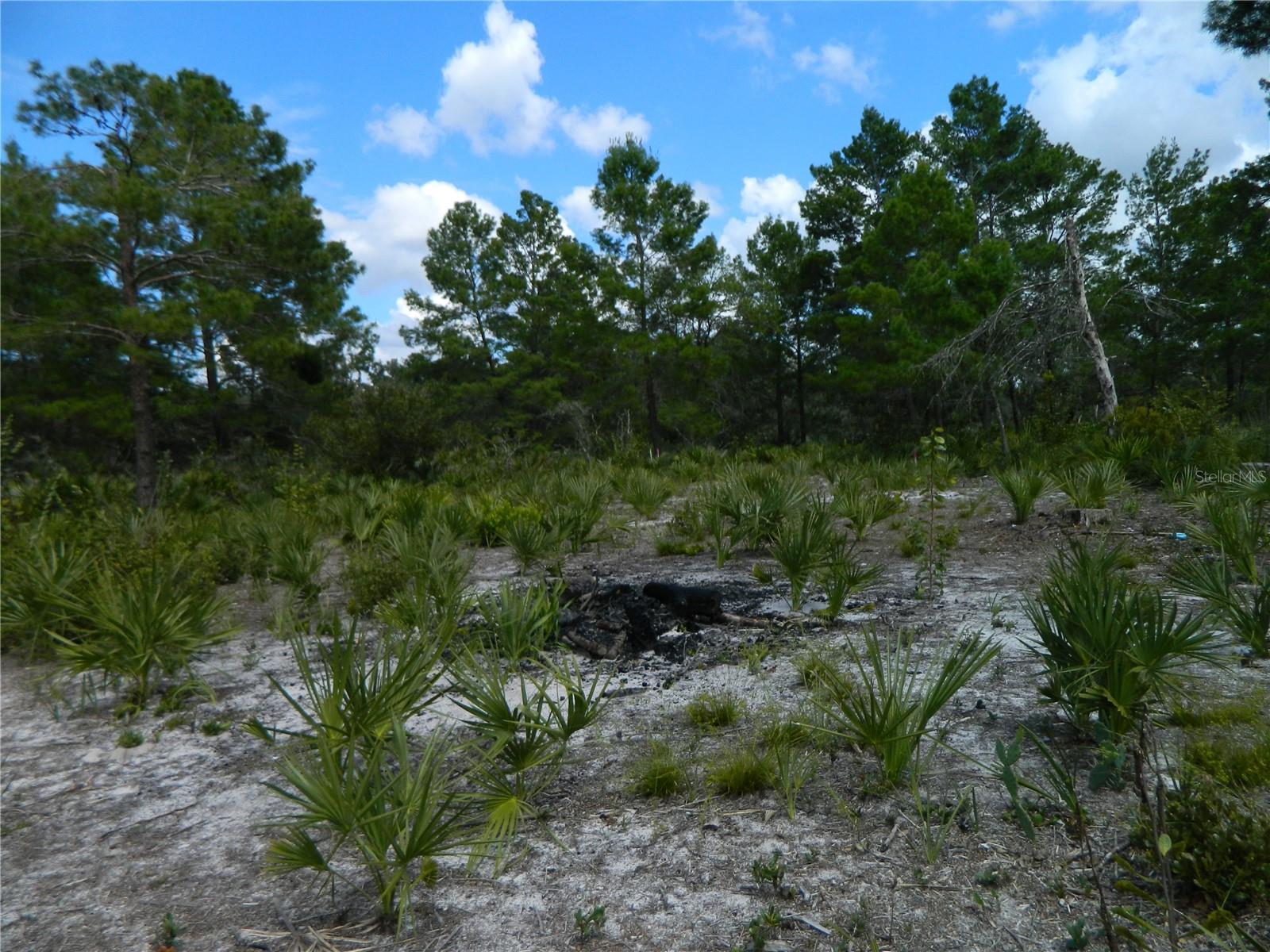 Image 2 of 4 For 2220 Altair Road