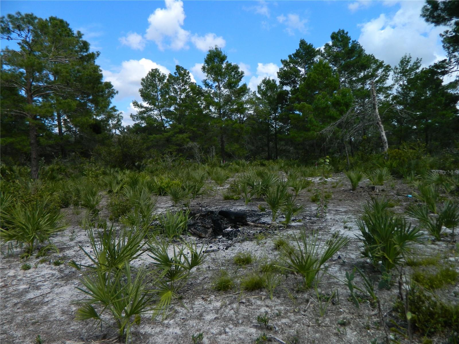 Image 3 of 4 For 2220 Altair Road