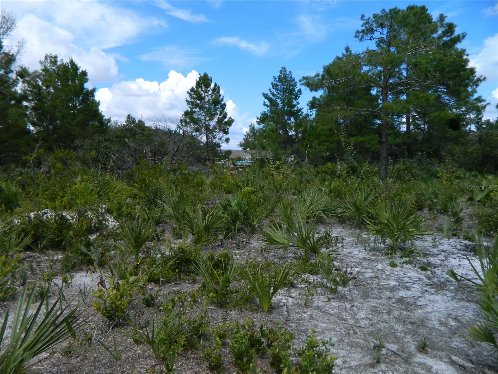 Image 4 of 4 For 2220 Altair Road