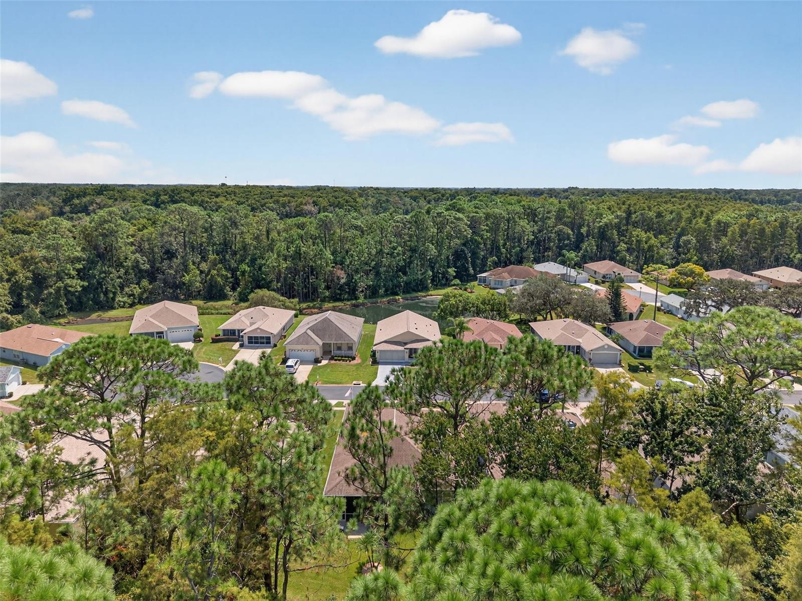 Image 61 of 71 For 11501 Bloomington Court