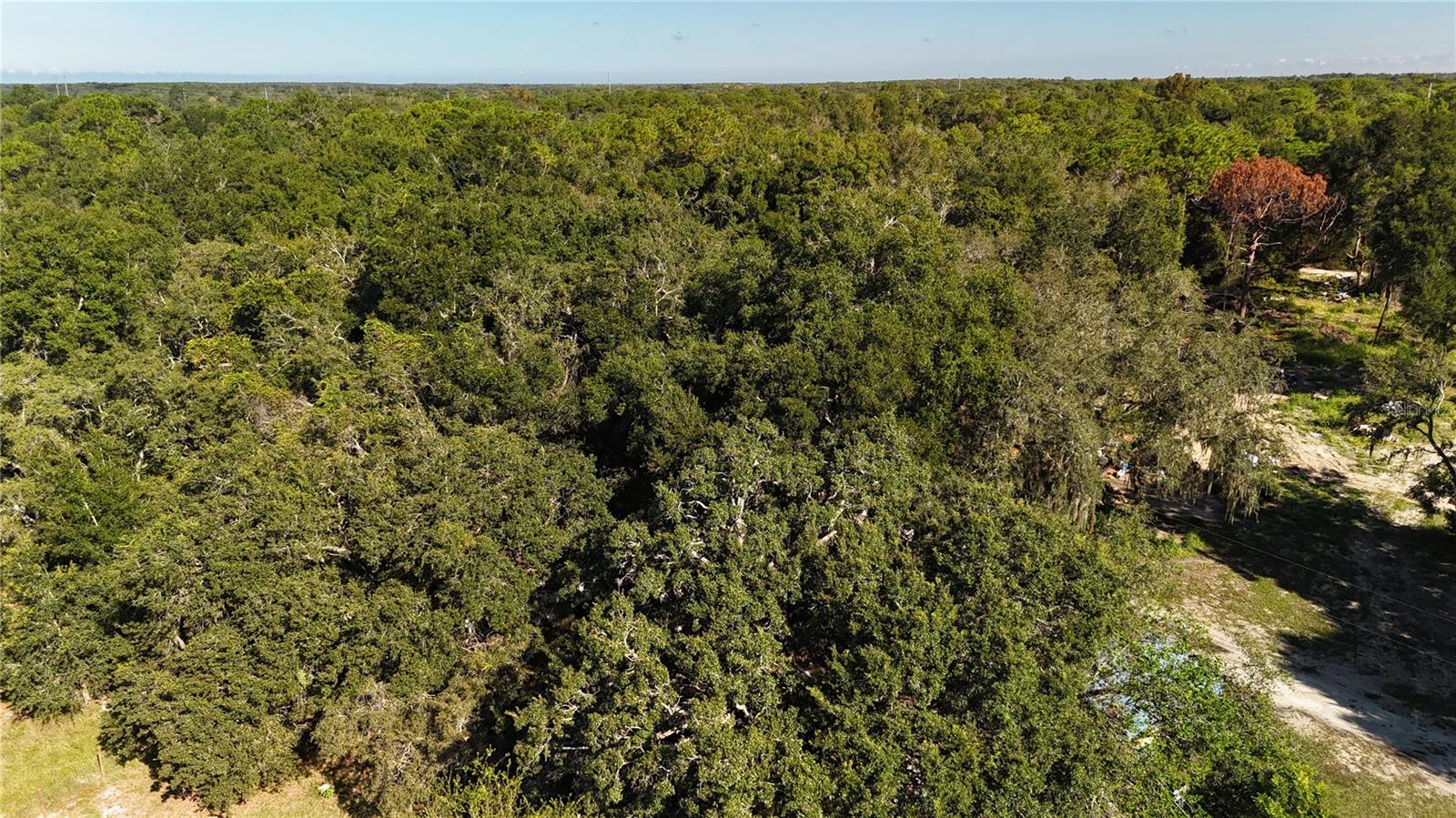 Image 7 of 30 For 12510 Robinhood Road