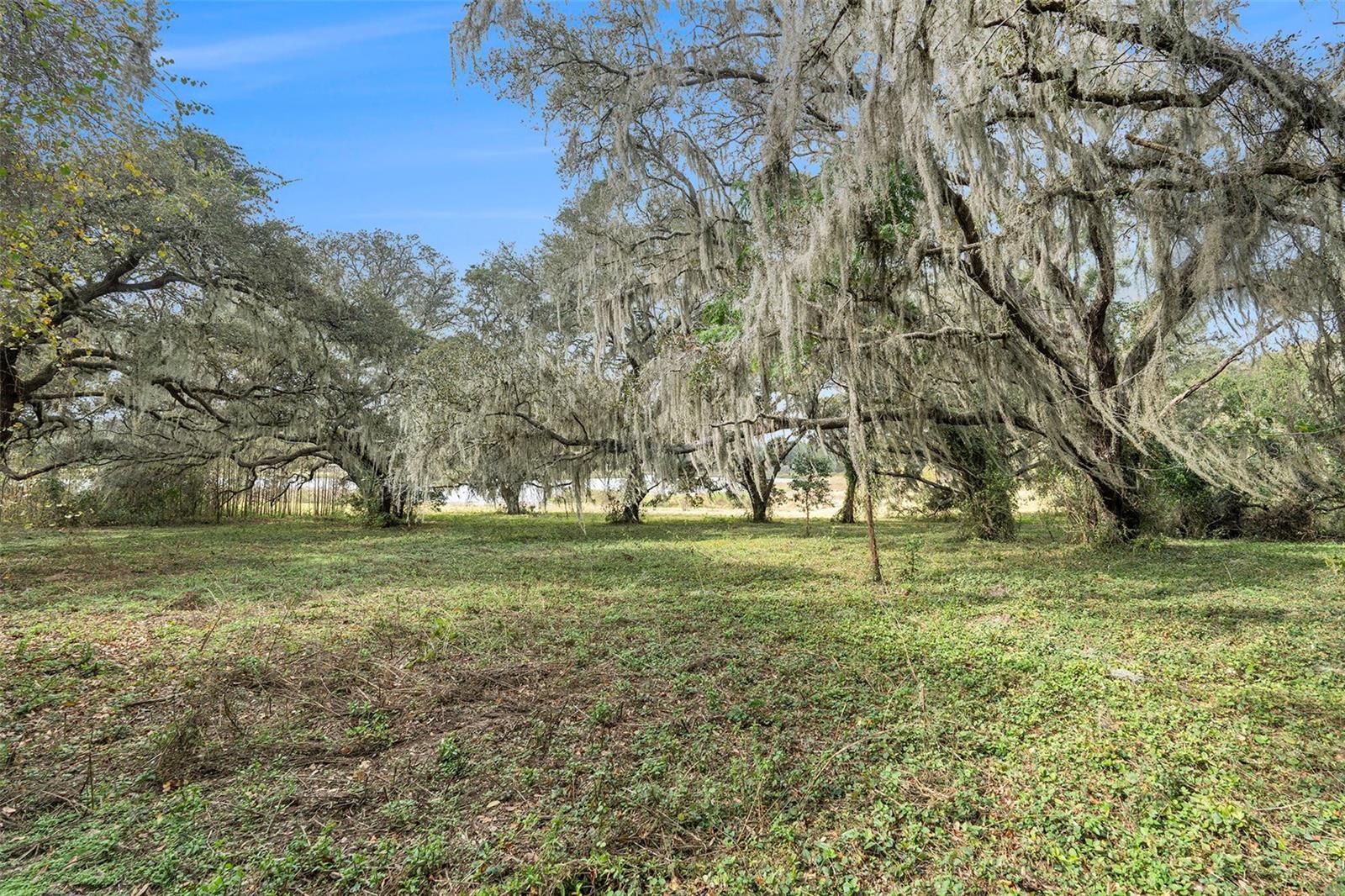 Image 20 of 26 For 0 19-24-21-0000-00600-0010