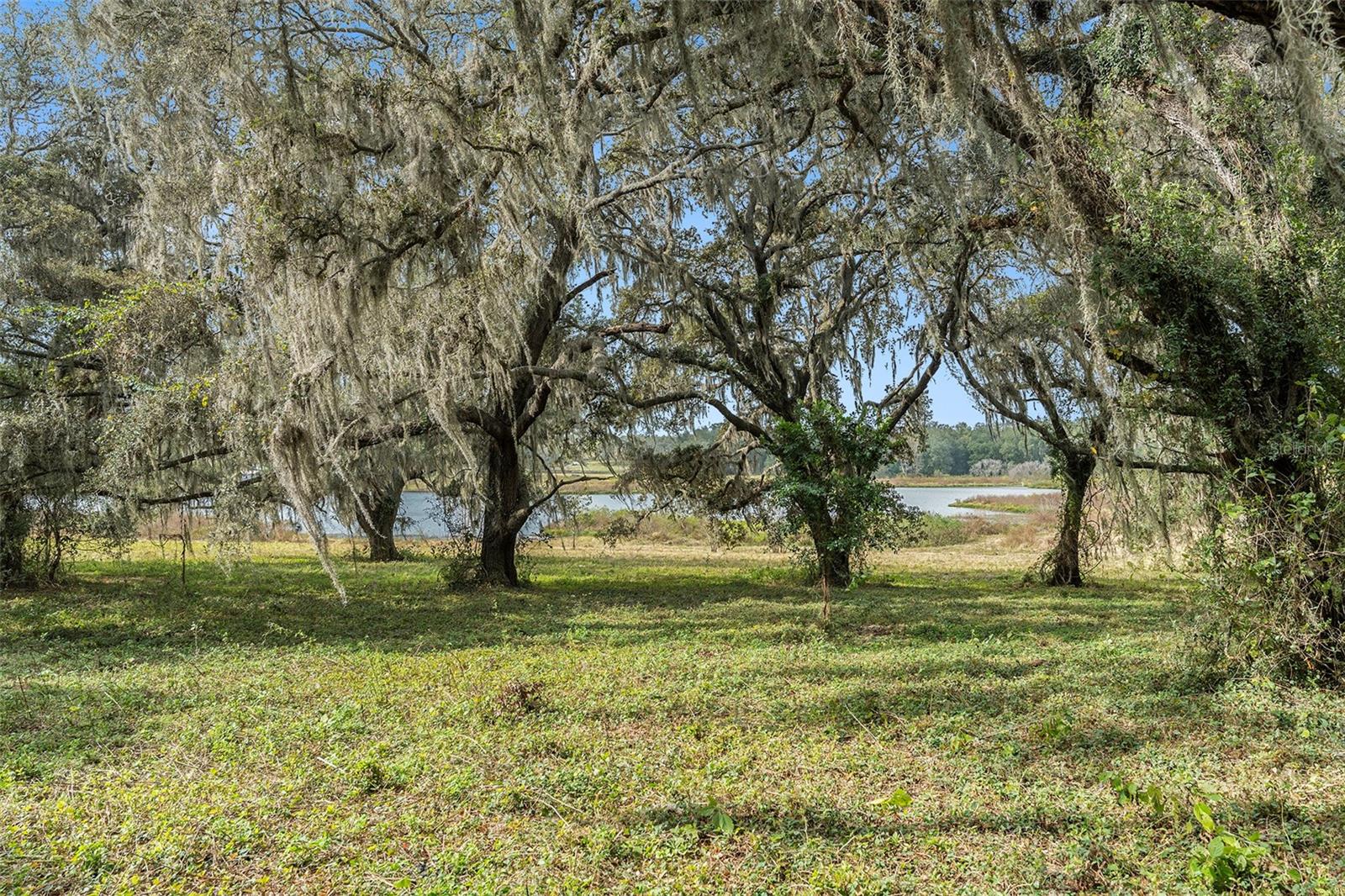 Image 21 of 26 For 0 19-24-21-0000-00600-0010