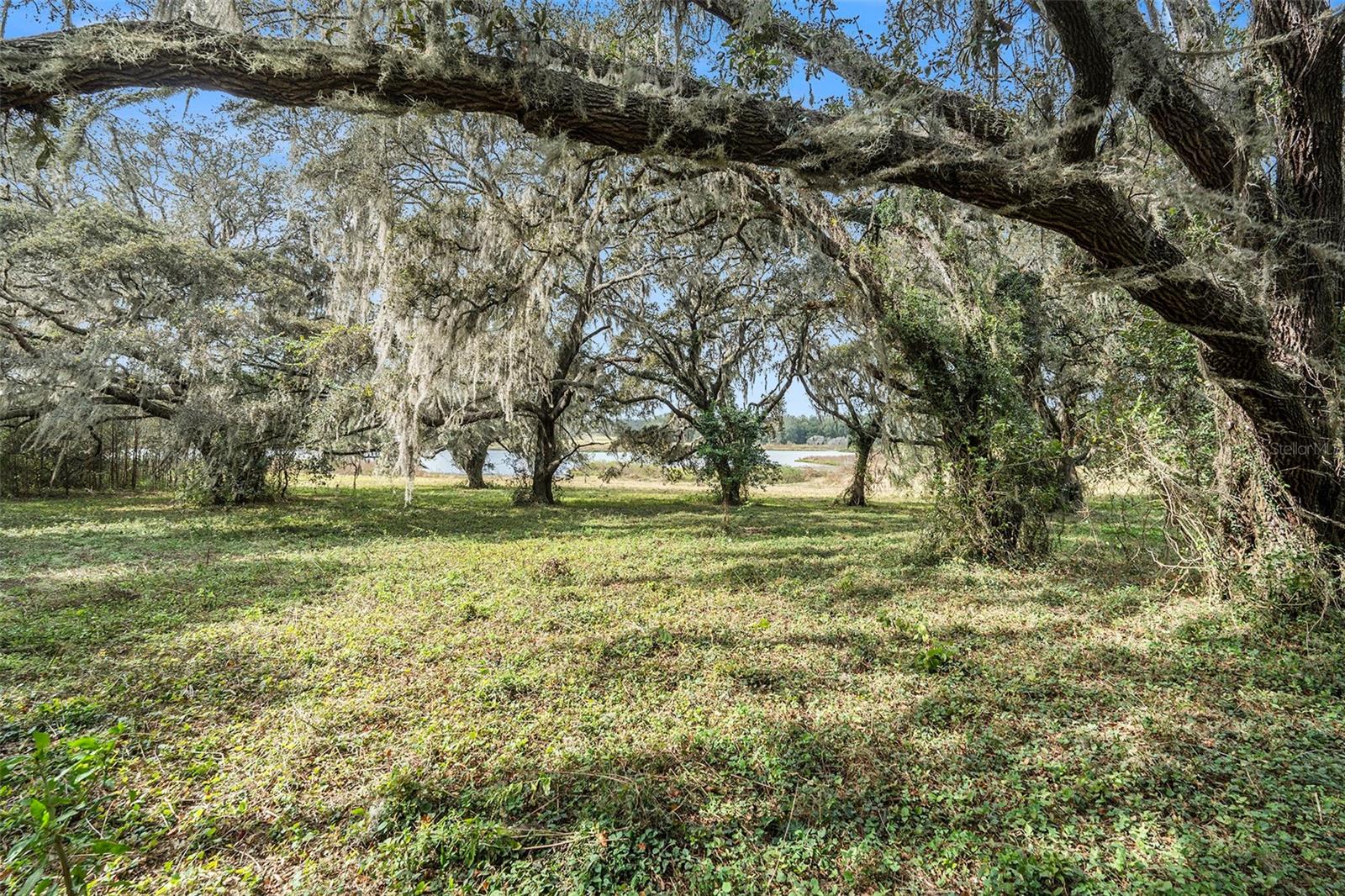 Image 22 of 26 For 0 19-24-21-0000-00600-0010