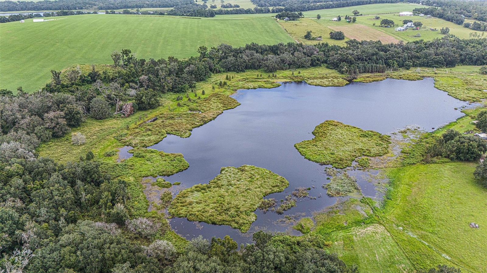 Image 6 of 26 For 0 19-24-21-0000-00600-0010