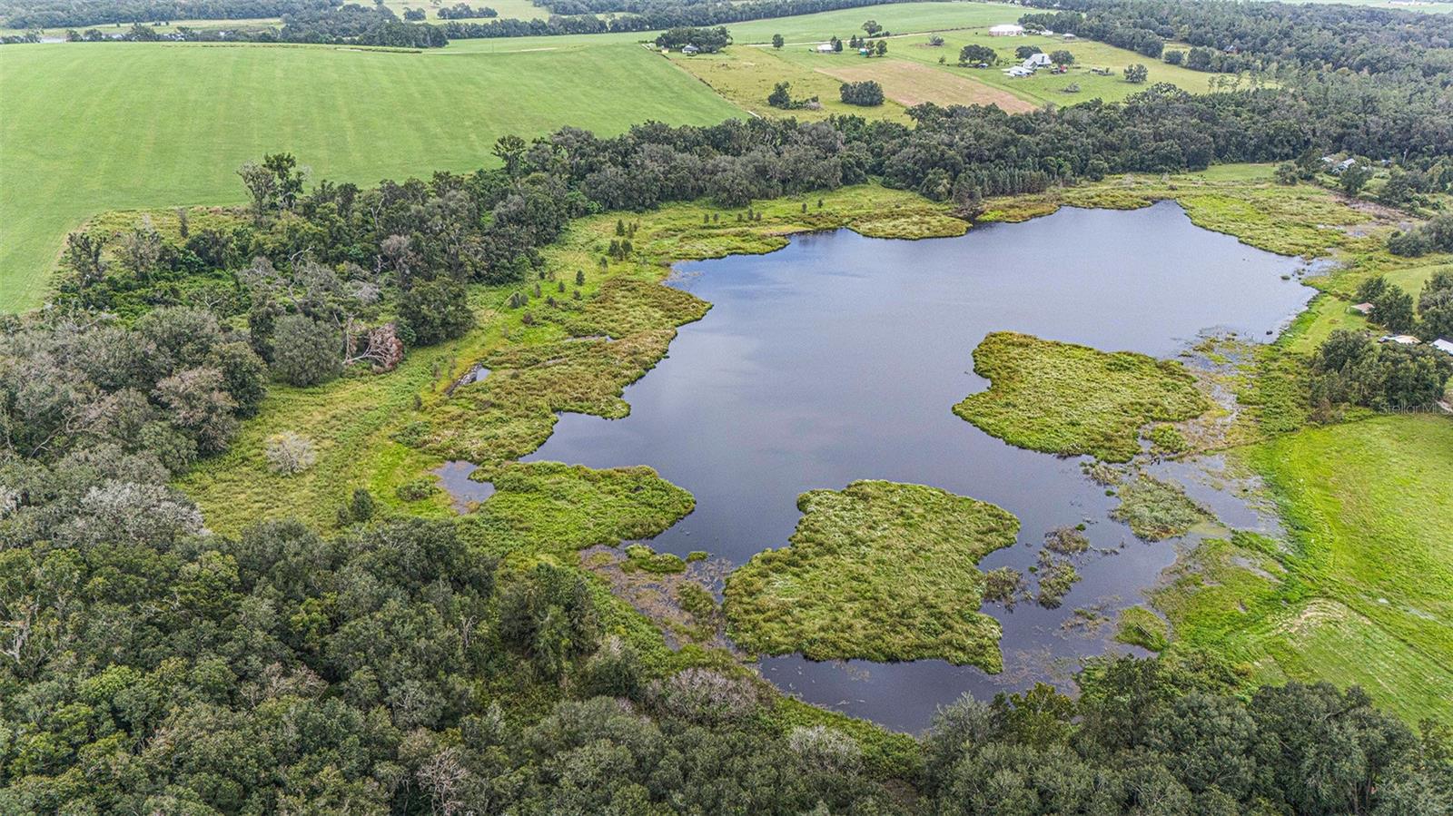 Image 7 of 26 For 0 19-24-21-0000-00600-0010