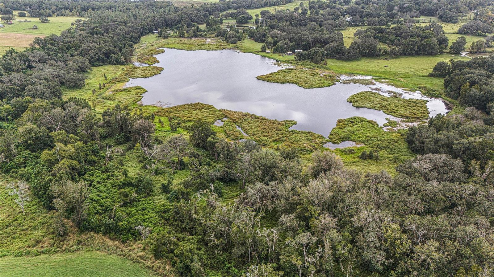 Image 9 of 26 For 0 19-24-21-0000-00600-0010