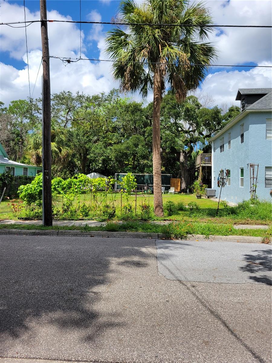 Image 18 of 18 For 101 Lemon Street 4