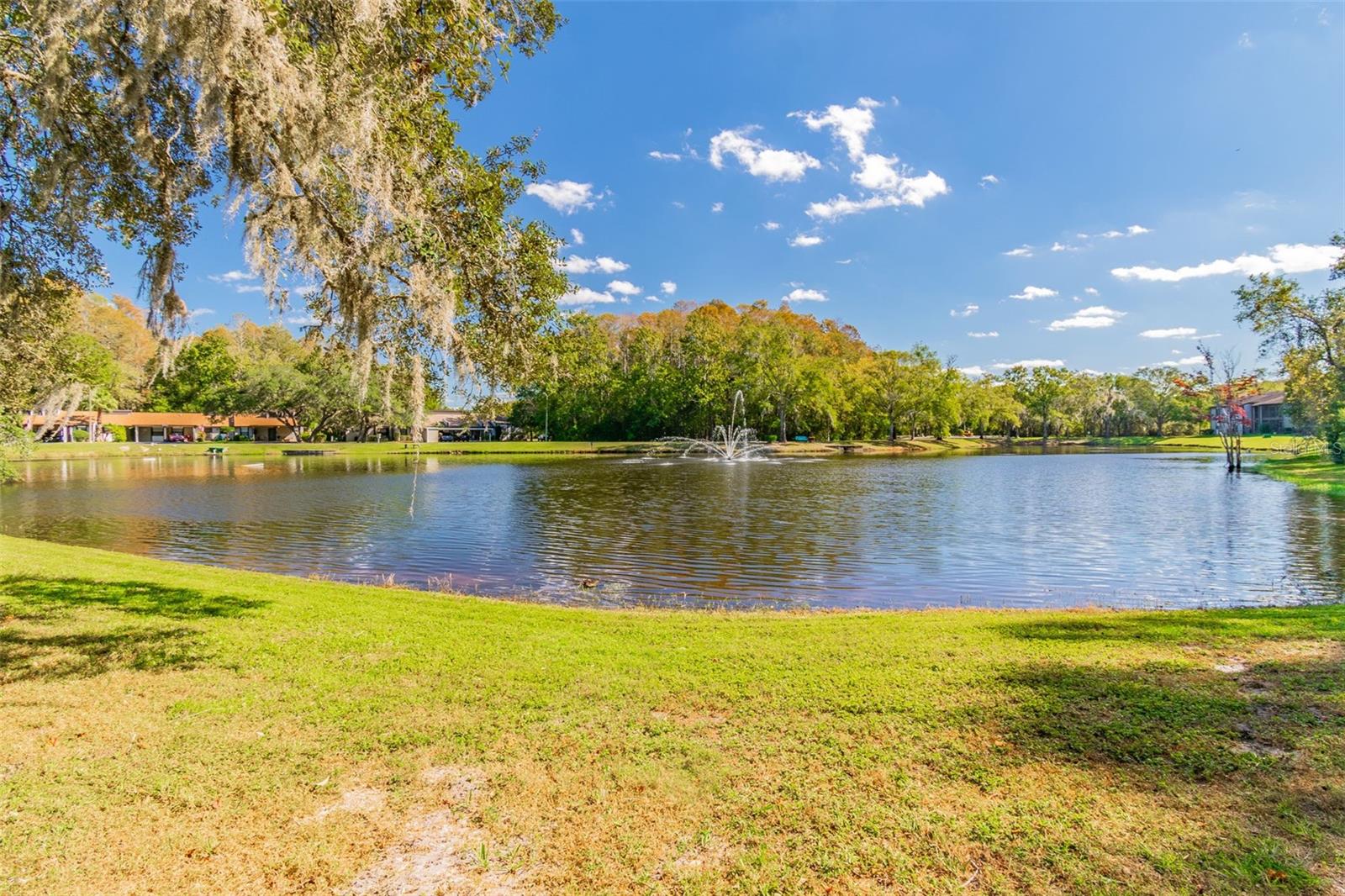 Listing photo id 23 for 11550 Baywood Meadows Drive 7