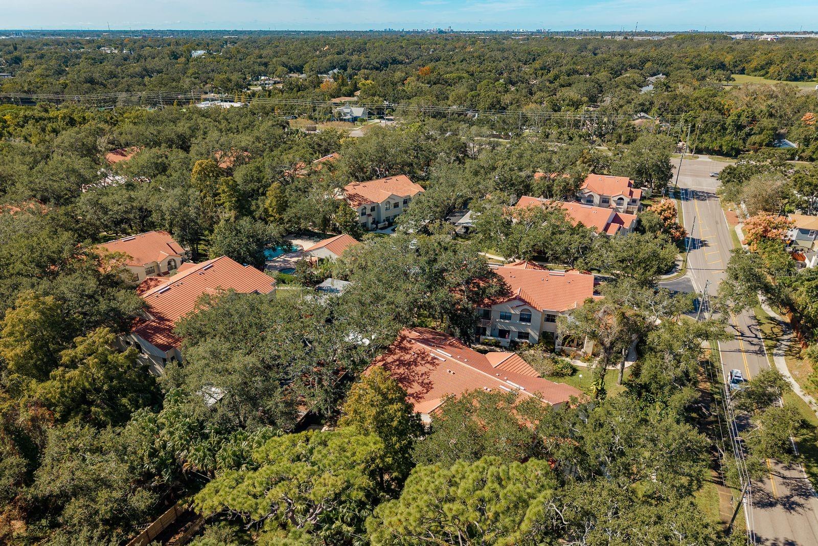 Image 39 of 45 For 334 Los Prados Drive 421