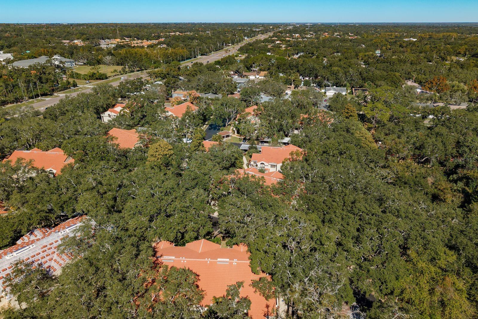 Image 40 of 45 For 334 Los Prados Drive 421