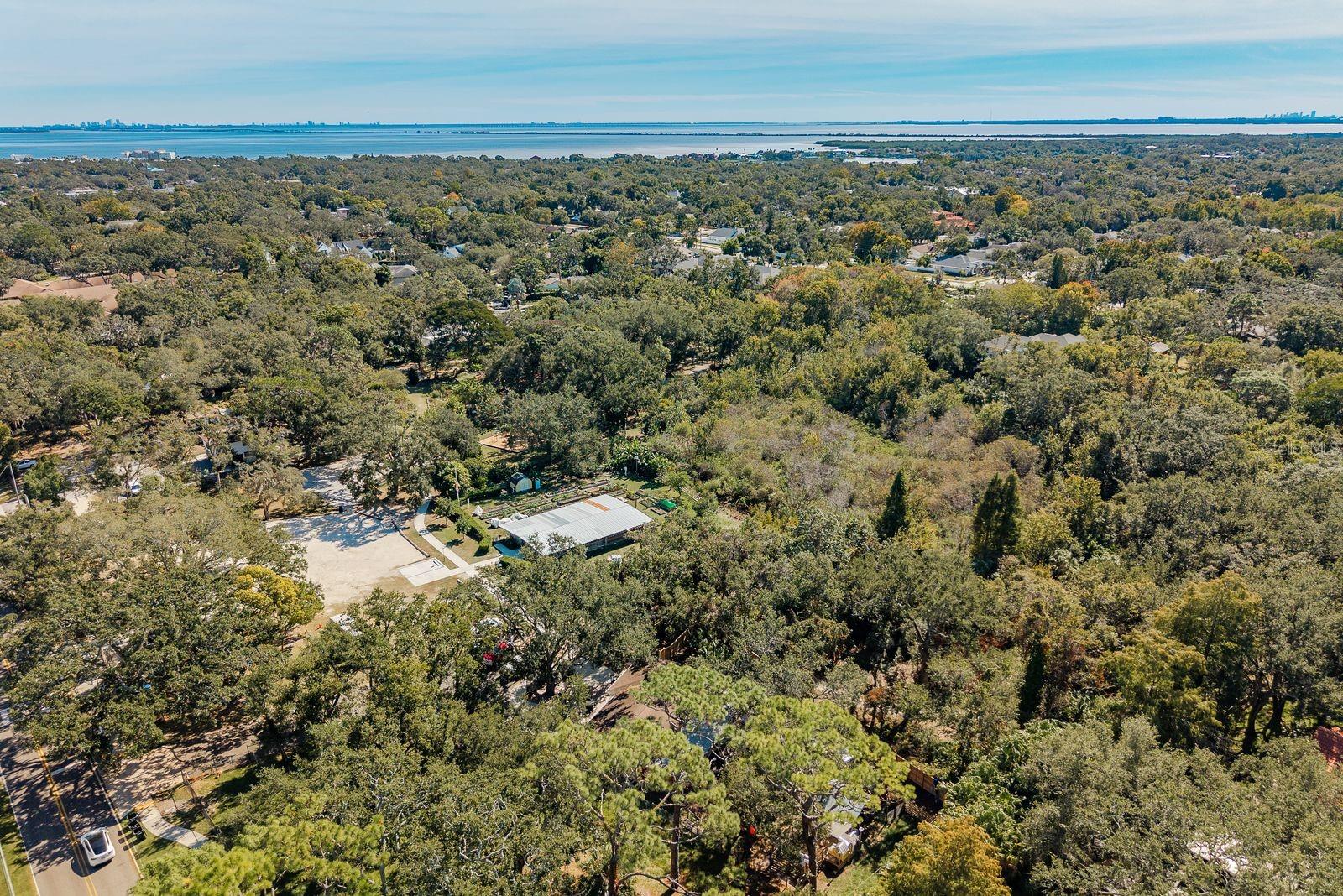 Image 41 of 45 For 334 Los Prados Drive 421