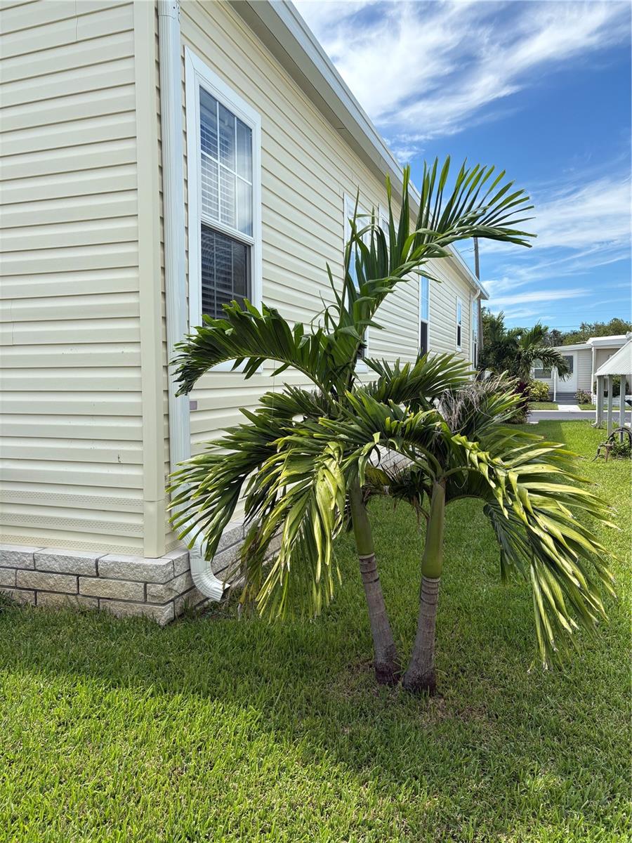 Image 14 of 55 For 11147 102nd Way 212