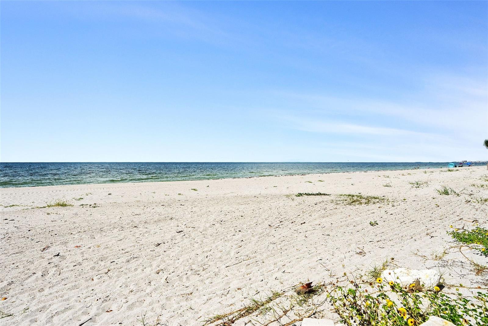 Image 61 of 72 For 1600 Gulf Boulevard 1016