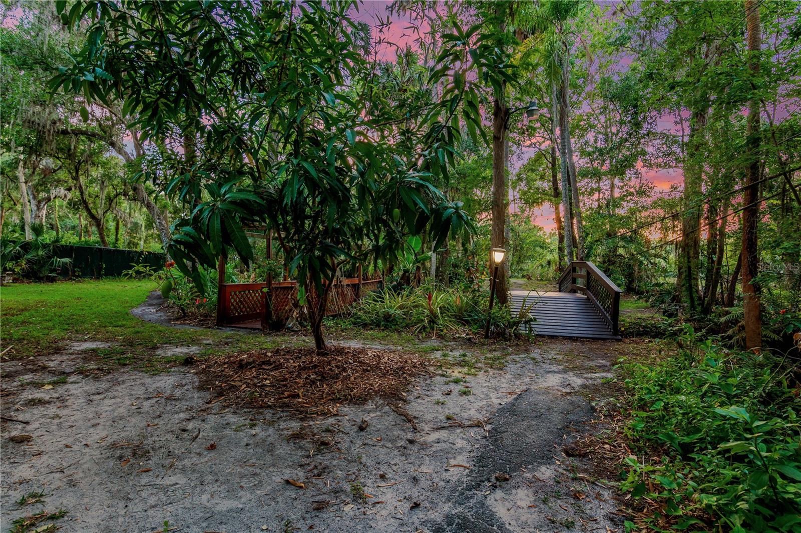 Image 6 of 24 For 11526 River Country Drive