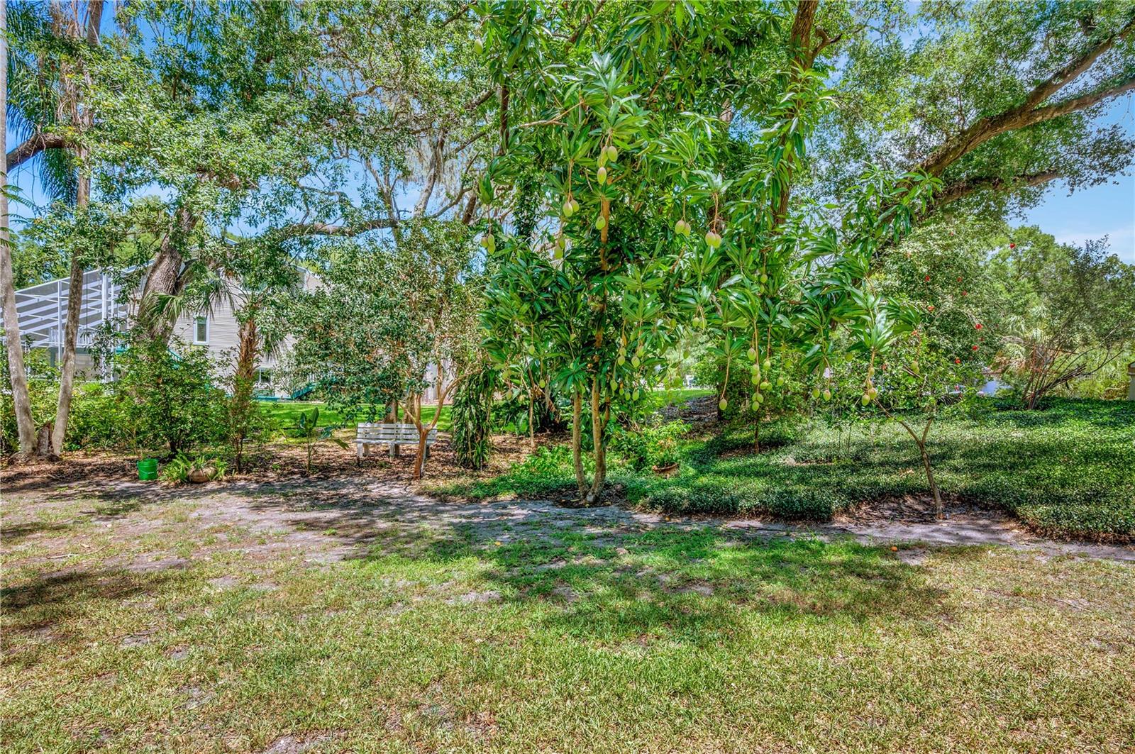 Image 8 of 24 For 11526 River Country Drive