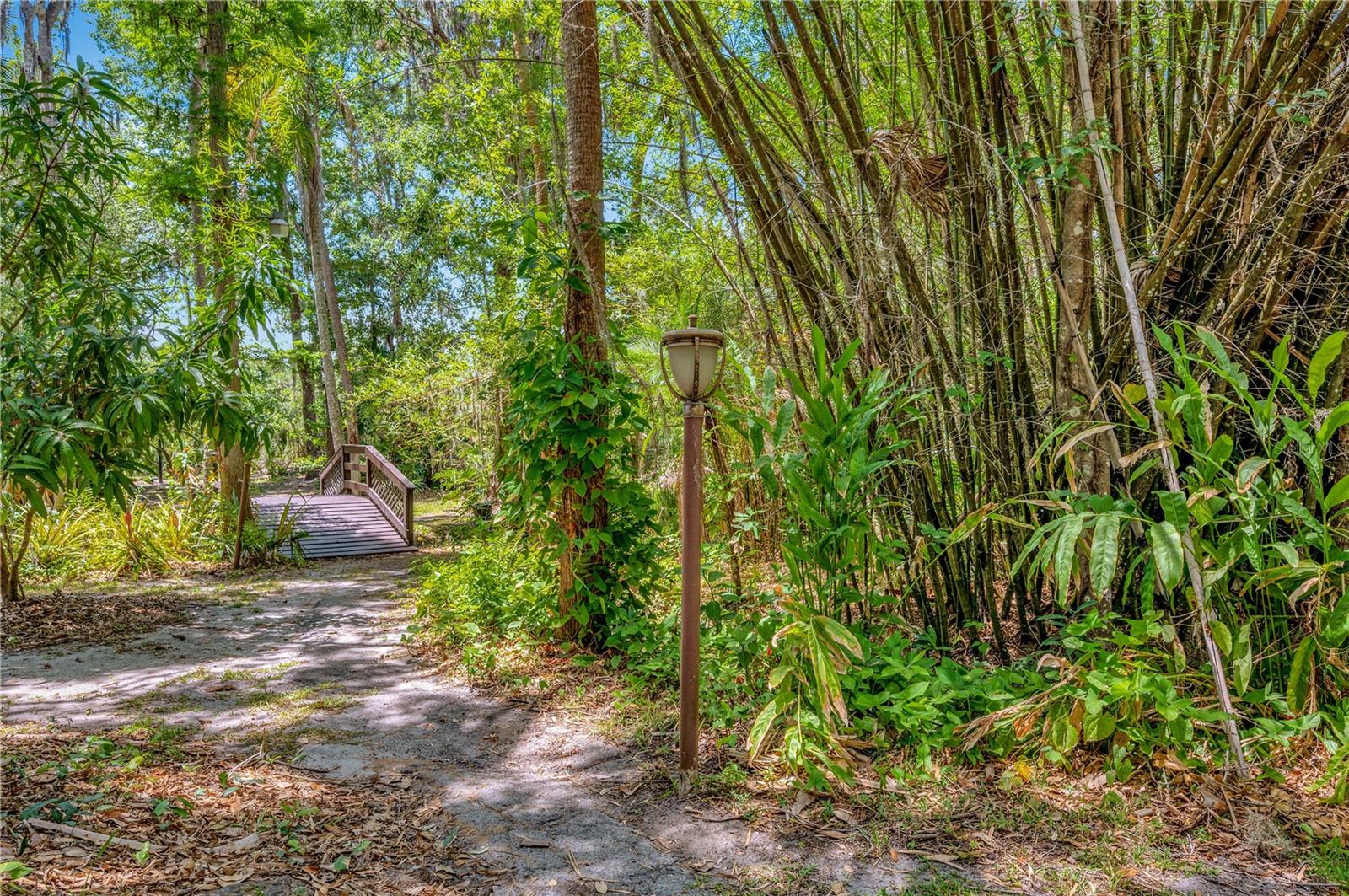 Image 9 of 24 For 11526 River Country Drive