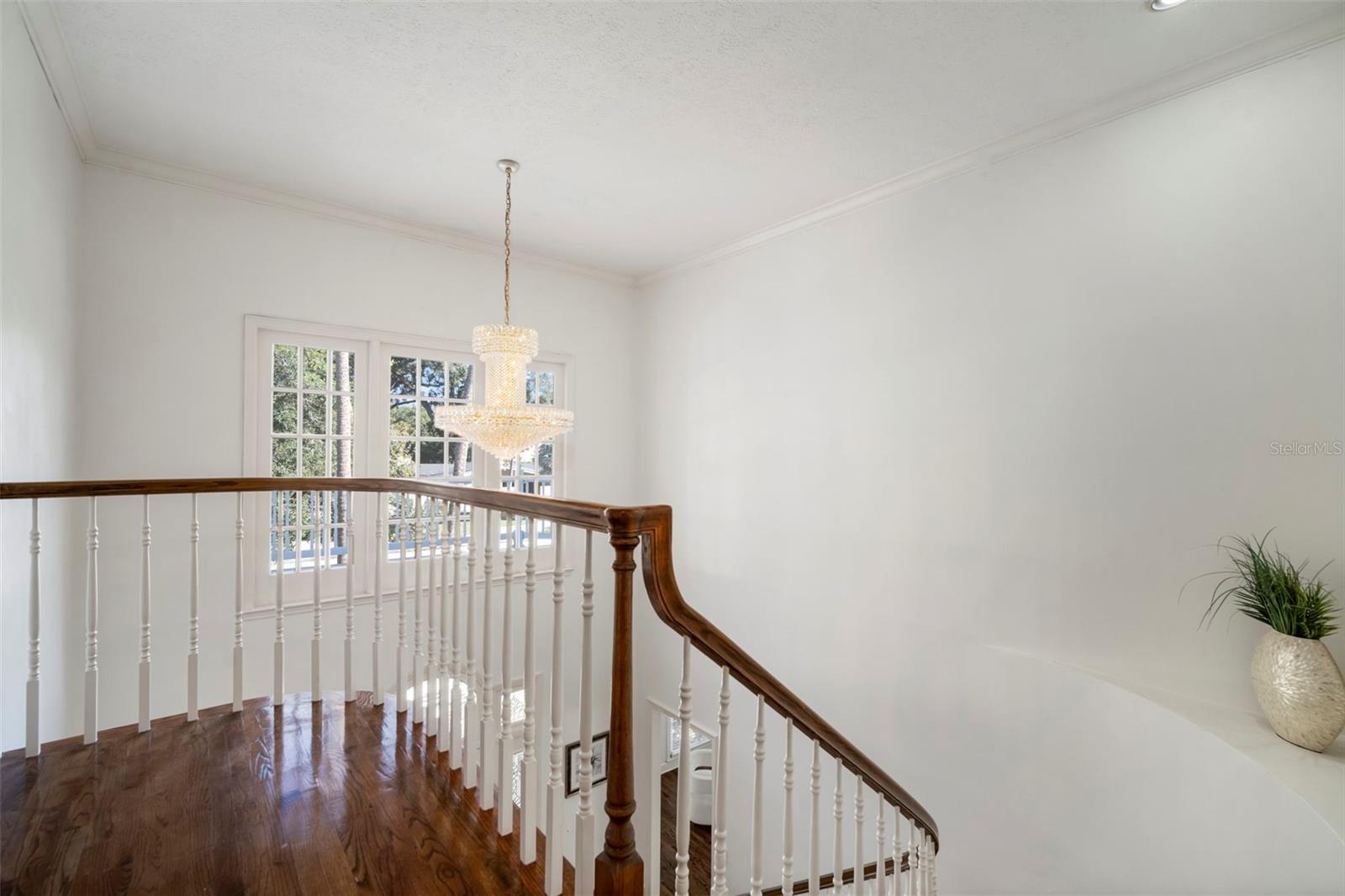 Listing photo id 33 for 4318 Azeele Street