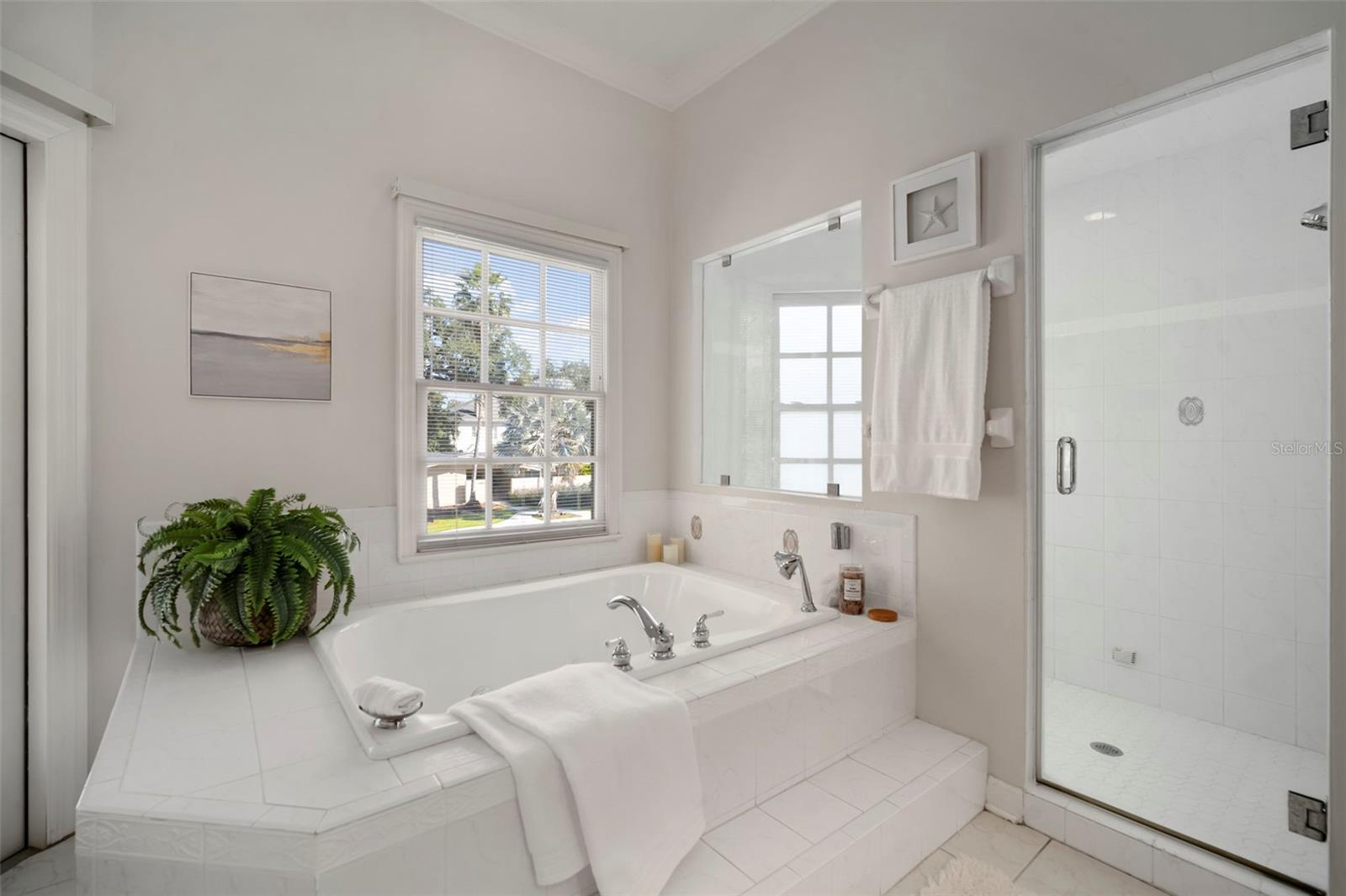 Listing photo id 42 for 4318 Azeele Street