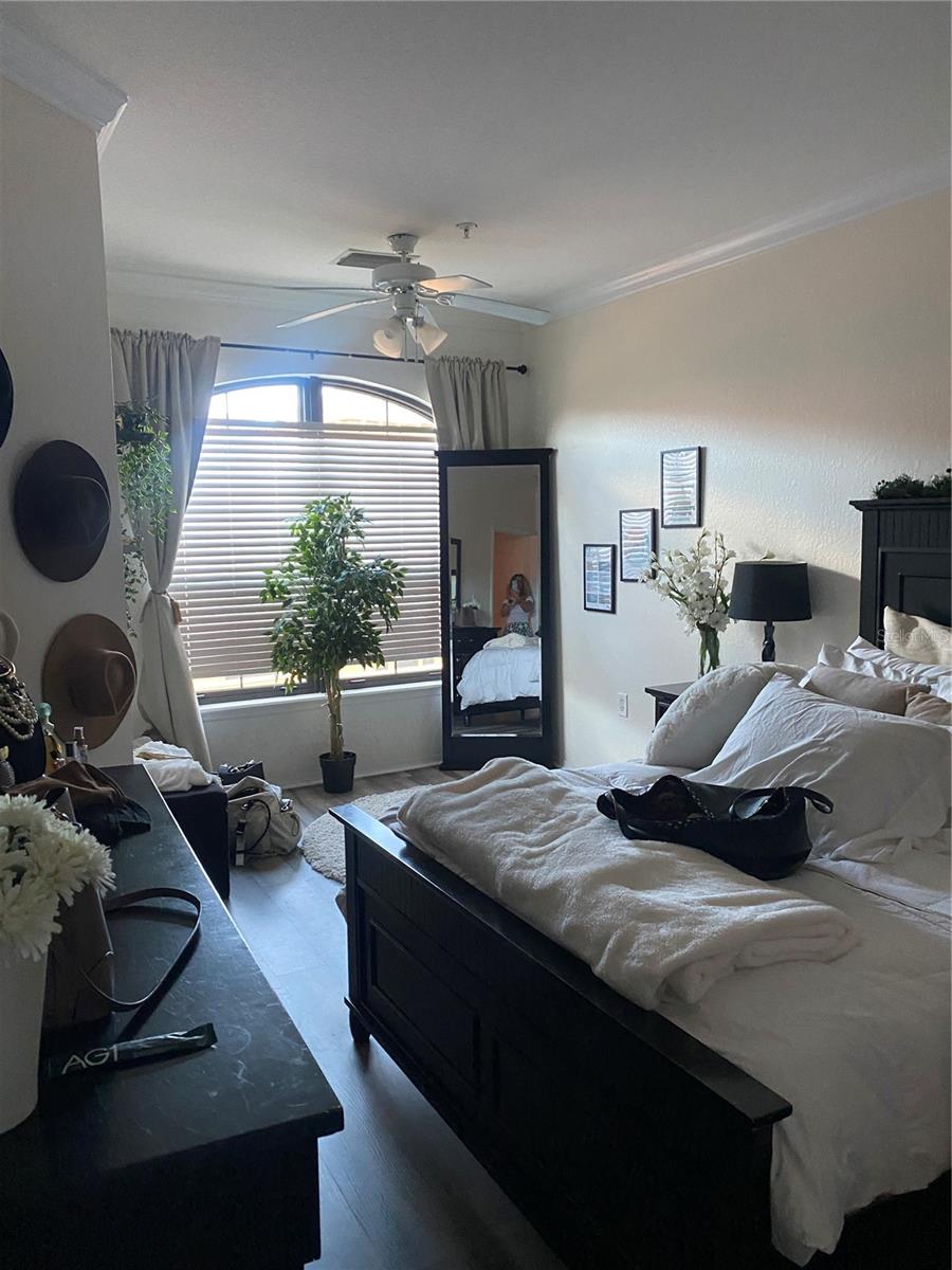 Image 9 of 14 For 2725 Via Cipriani  732b