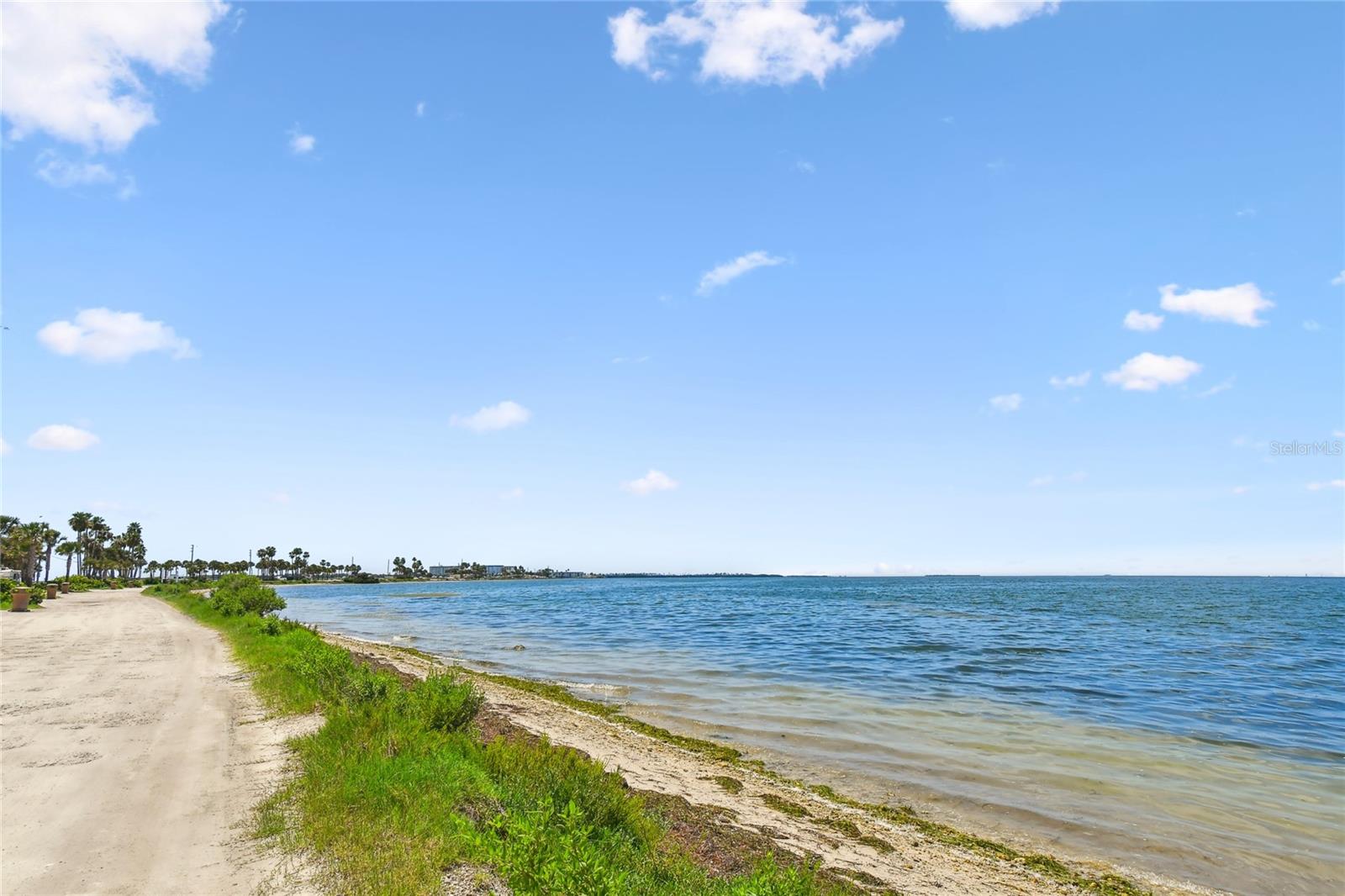 Image 39 of 56 For 623 Palm Boulevard