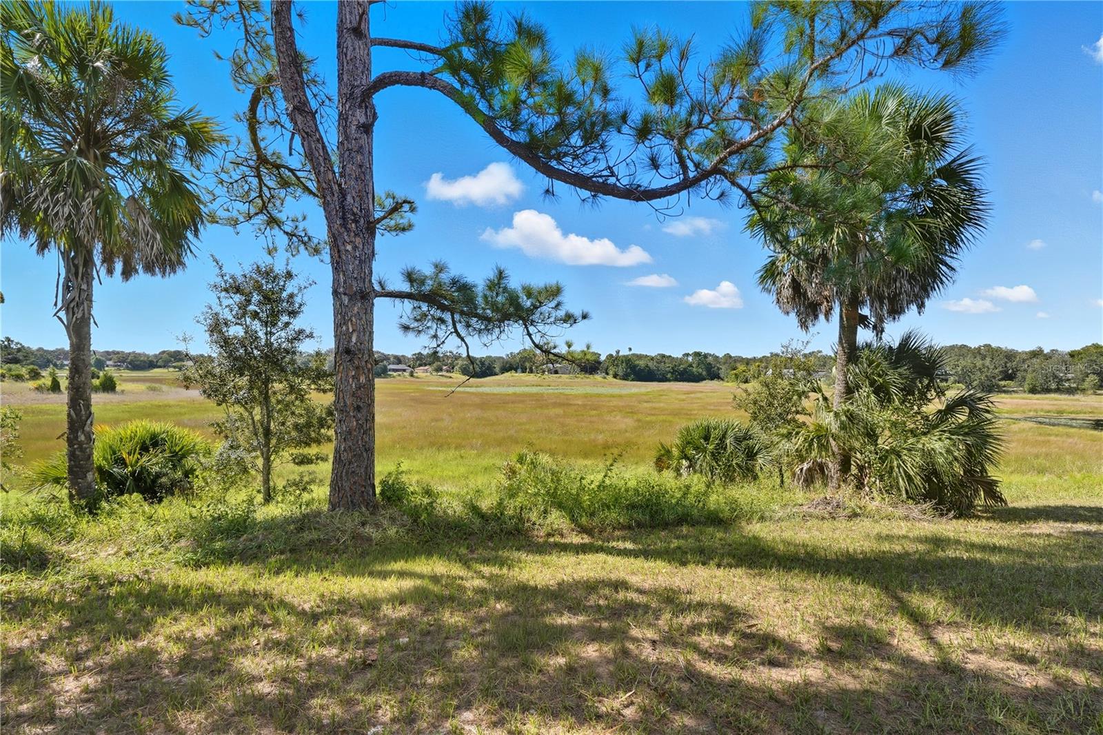 Image 40 of 50 For 577 Waterfall Drive