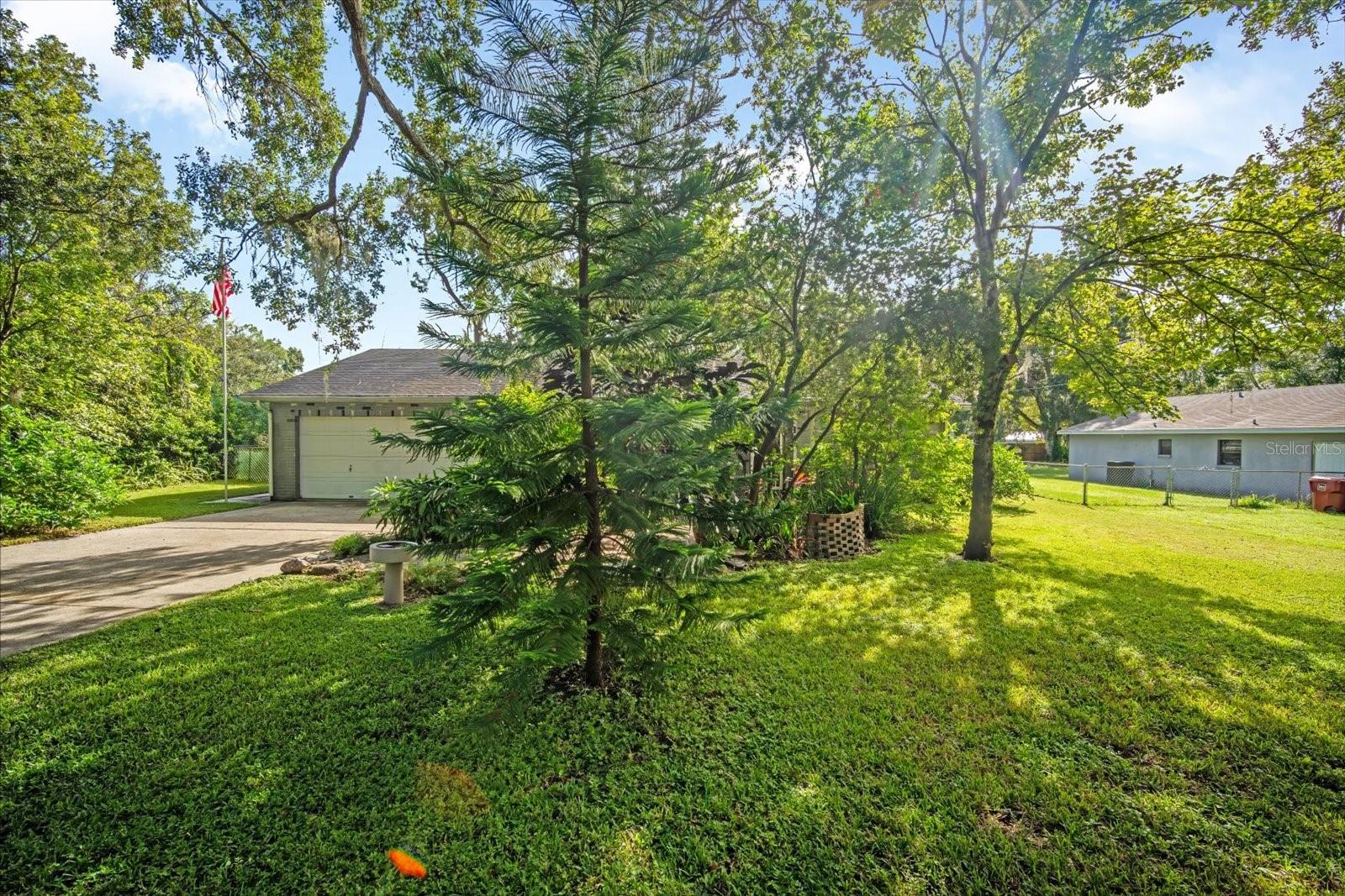 Image 4 of 28 For 1602 Wills Street