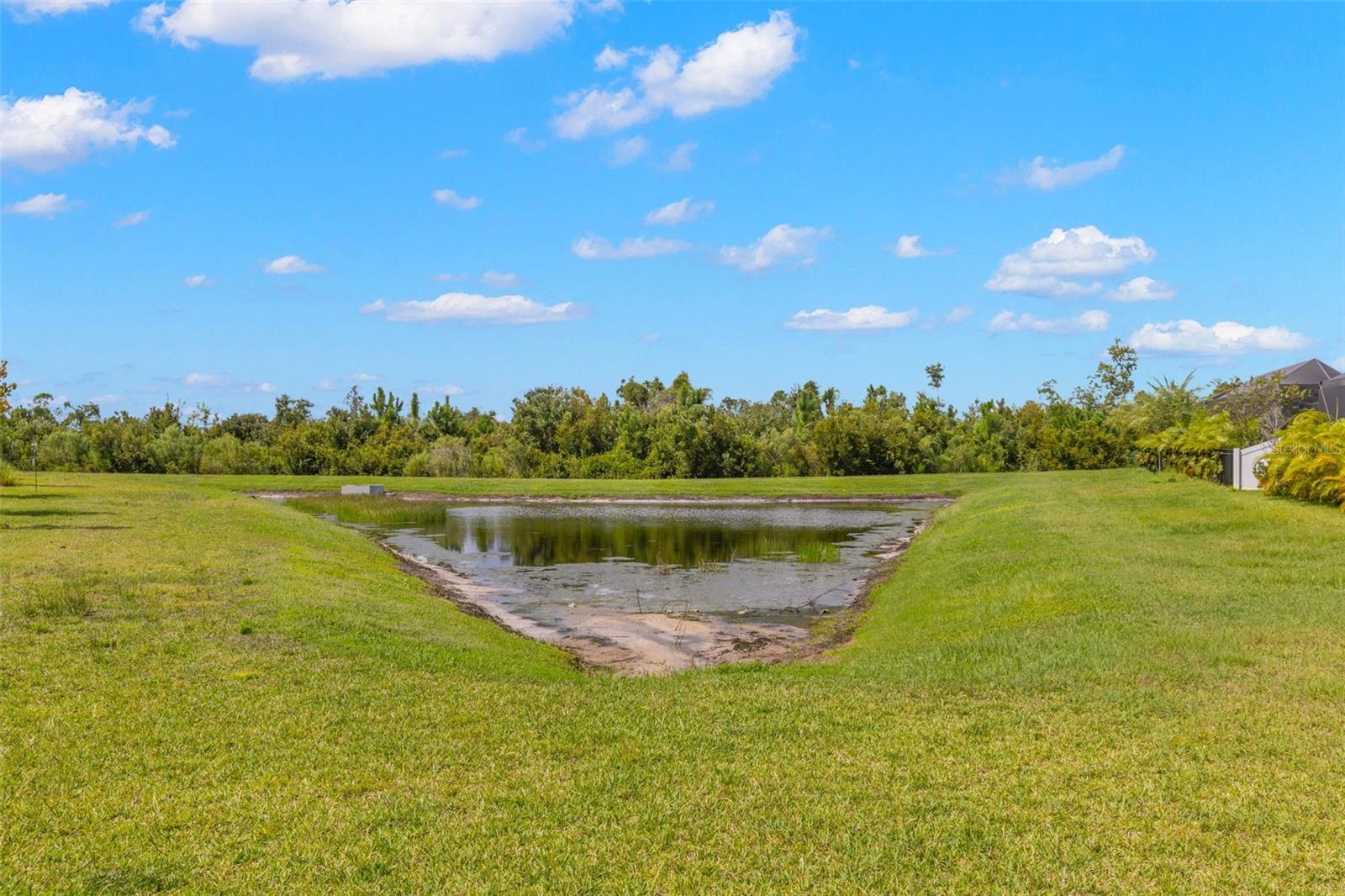 Listing photo id 35 for 31496 Westbury Estates Avenue
