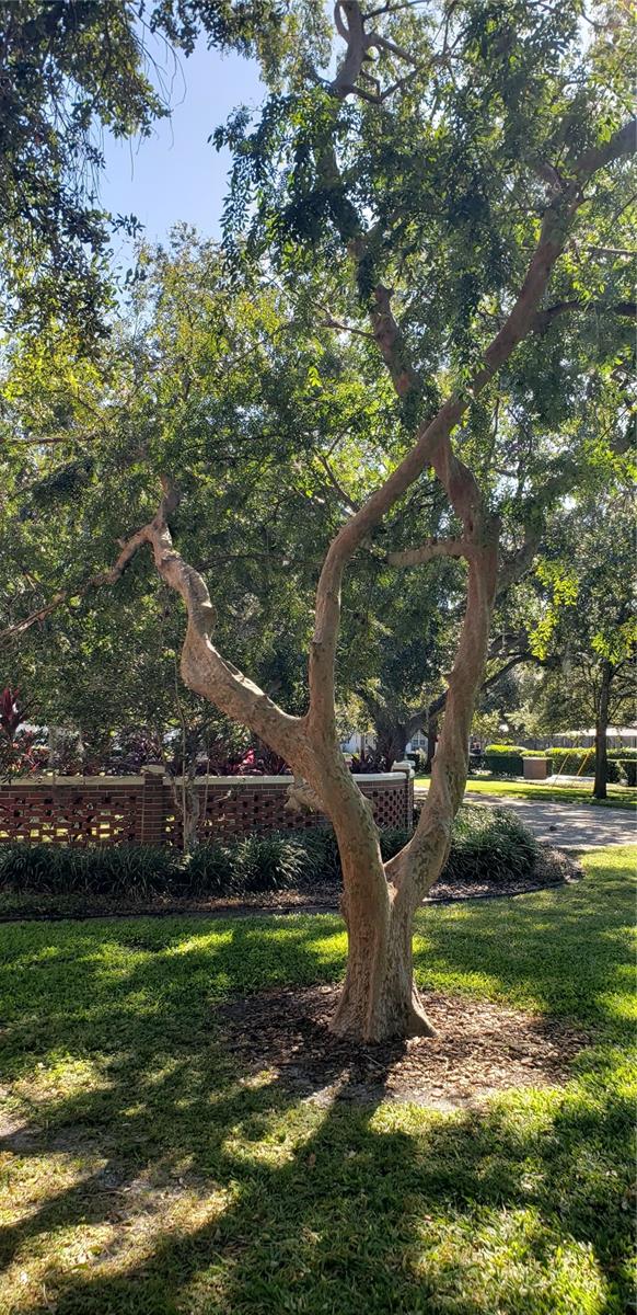 Image 67 of 68 For 5912 Suwanee Avenue