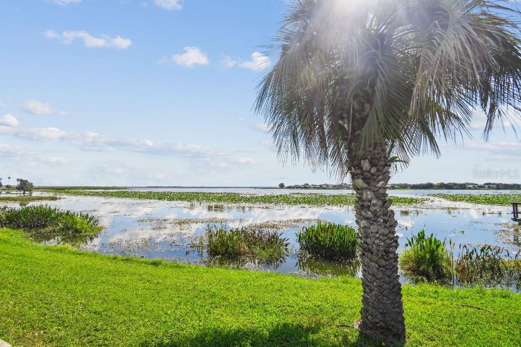 Image 16 of 28 For 1600 Lake Parker Drive B22