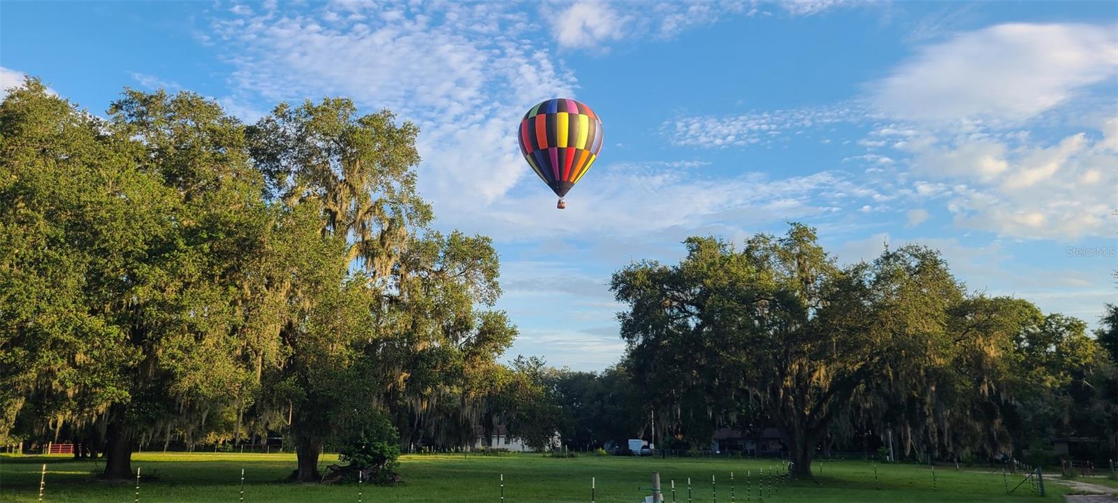 Image 15 of 16 For 34920 Appaloosa Trail