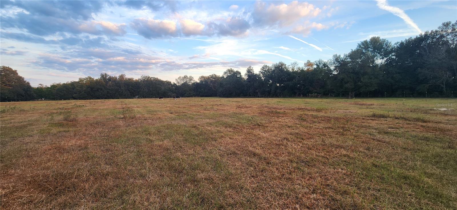 Listing photo id 16 for 34920 Appaloosa Trail