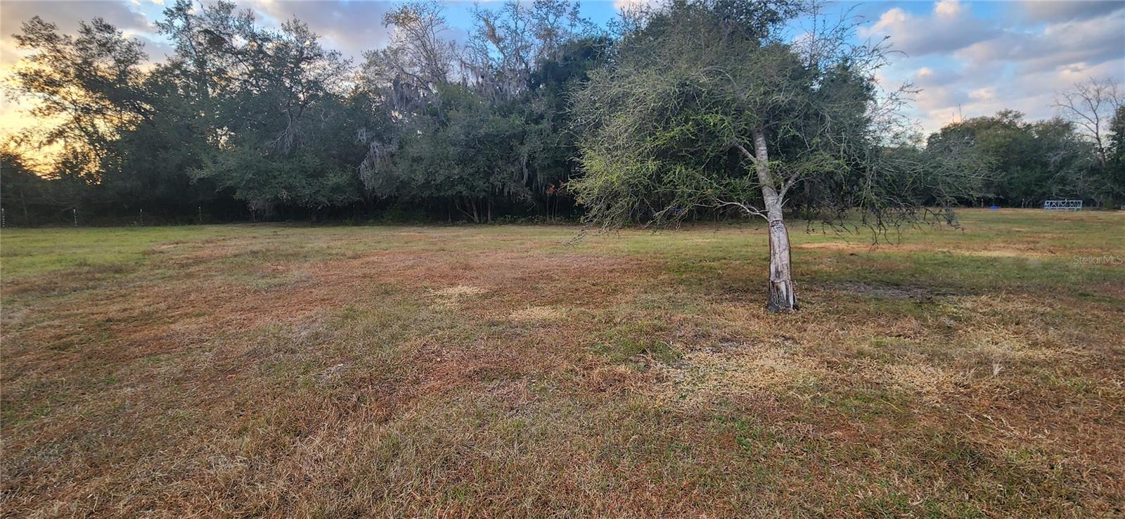 Listing photo id 18 for 34920 Appaloosa Trail