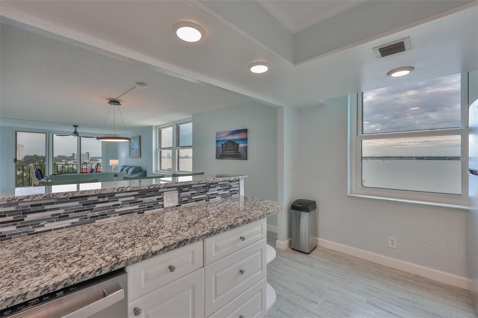 Image 13 of 39 For 1400 Gulf Boulevard 704