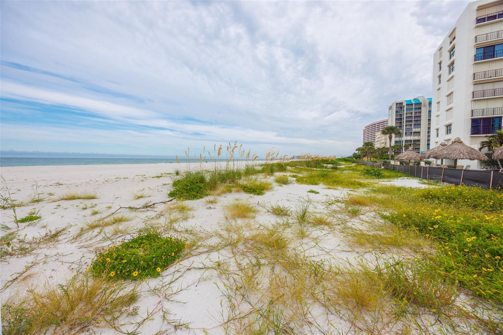 Image 25 of 39 For 1400 Gulf Boulevard 704