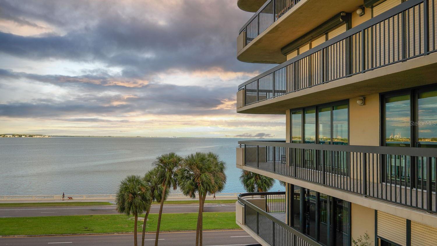 Image 57 of 62 For 2413 Bayshore Boulevard 503