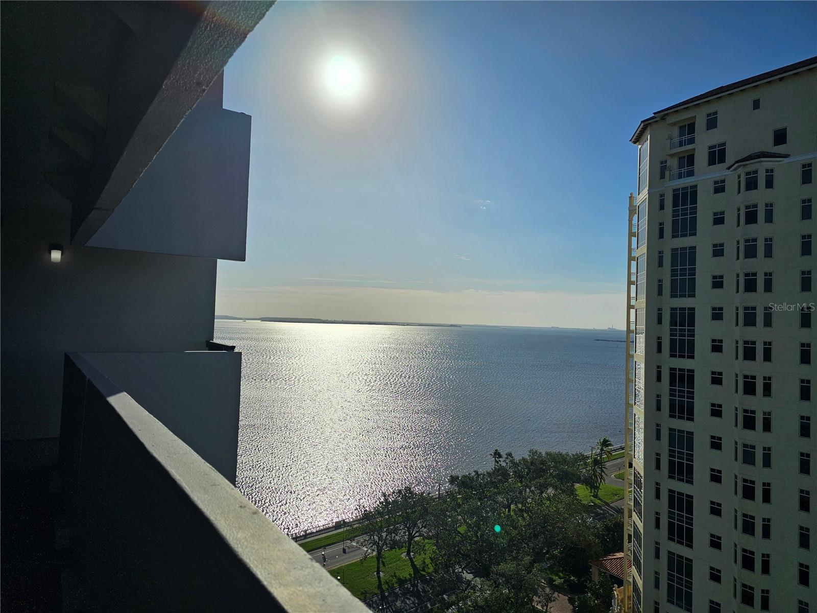 Image 25 of 29 For 4141 Bayshore Boulevard 1603