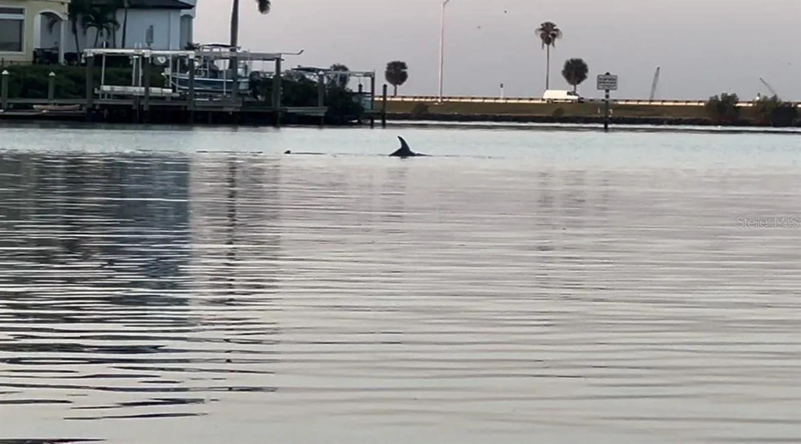 Image 40 of 50 For 8717 Bay Pointe Drive