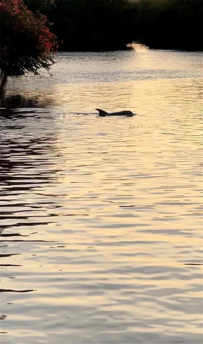 Image 41 of 50 For 8717 Bay Pointe Drive