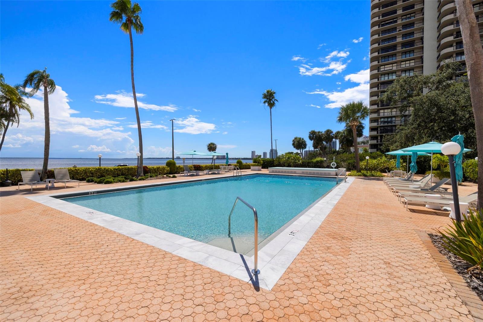 Image 31 of 46 For 2401 Bayshore Boulevard 803