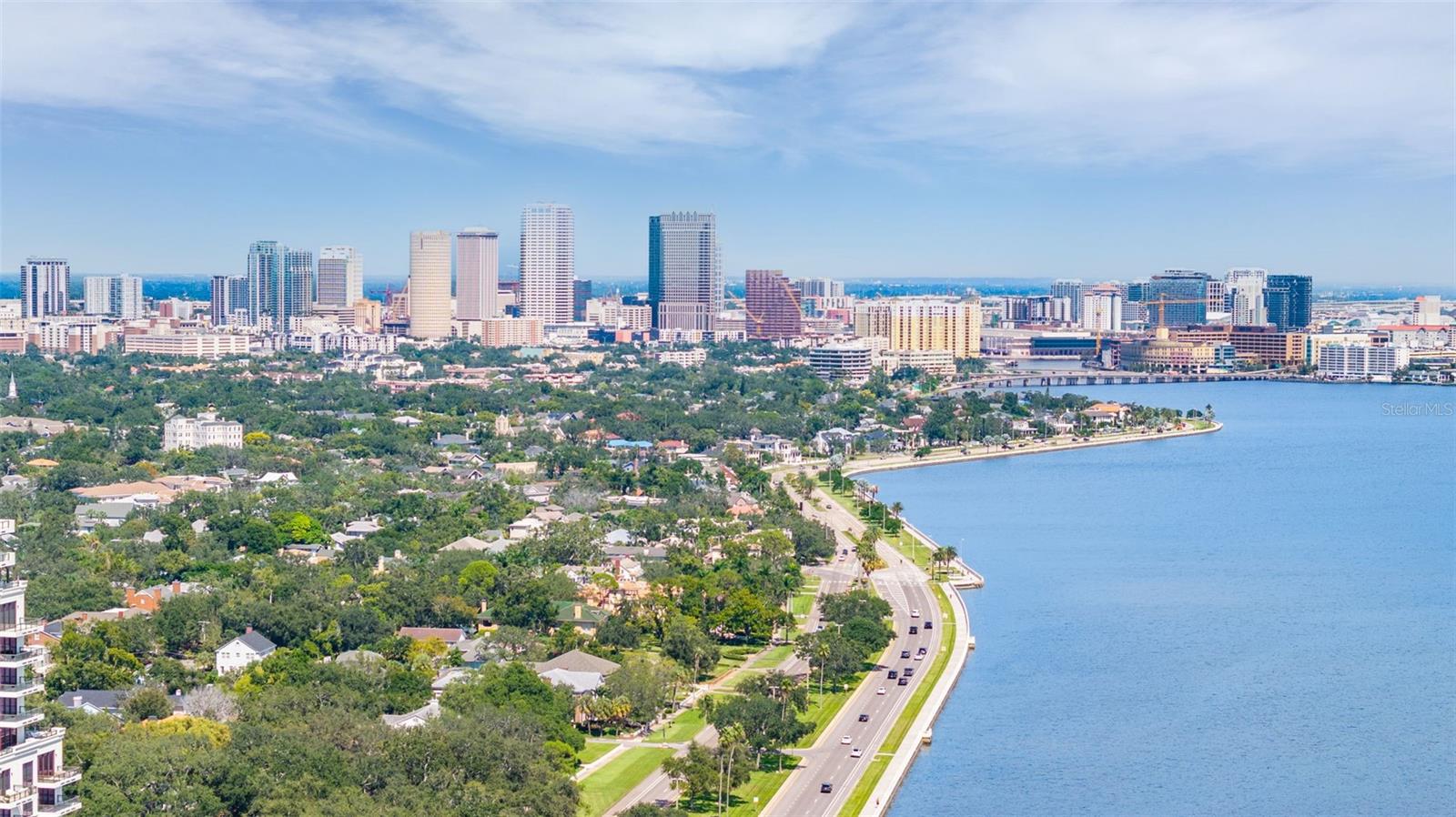 Image 41 of 46 For 2401 Bayshore Boulevard 803