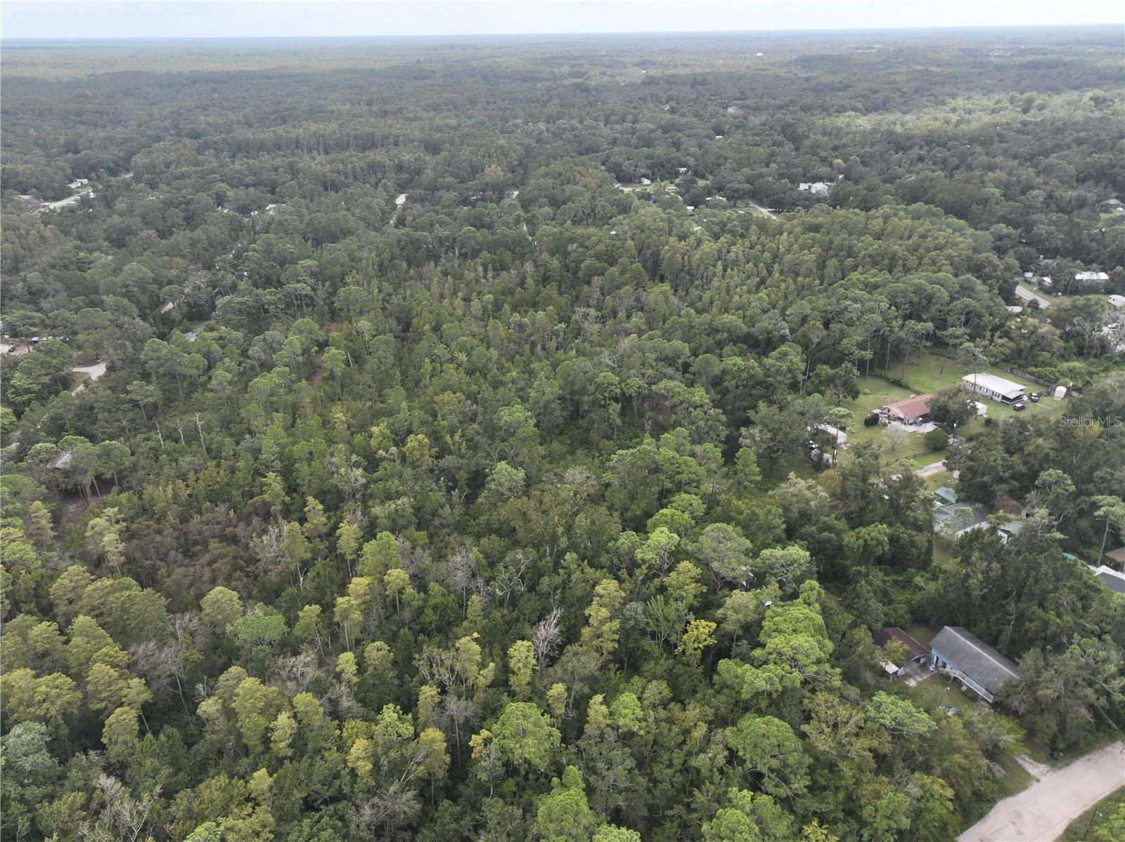 Image 13 of 52 For 12818 Morton Street