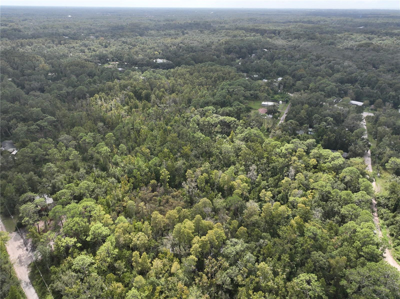 Image 14 of 52 For 12818 Morton Street