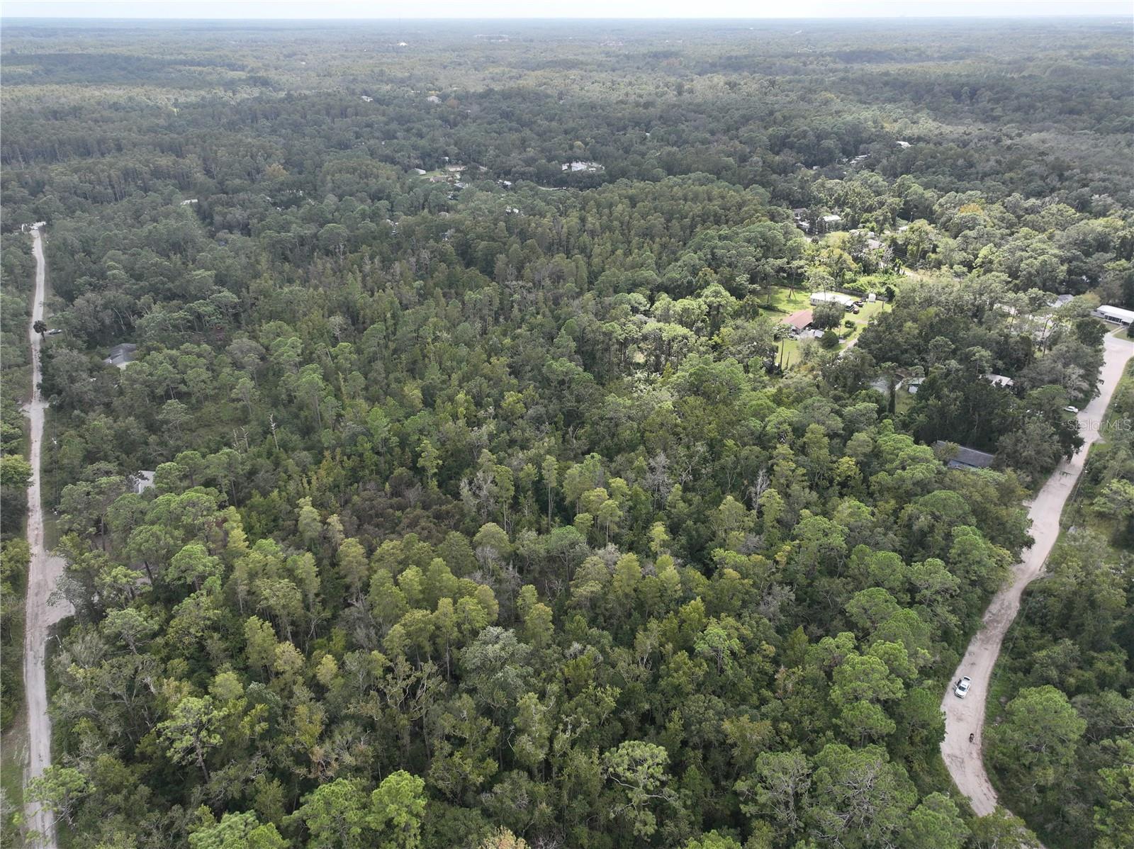 Image 15 of 52 For 12818 Morton Street